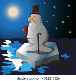 Elegant walrus on the ice at night