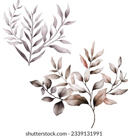 elegant watercolor brown leaves bouquet