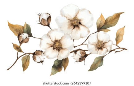 Elegant watercolor depiction of blooming cotton flowers with buds and autumn-toned leaves, ideal for rustic or natural-themed designs.