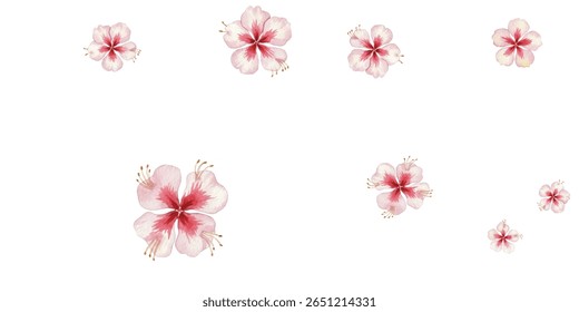 Elegant watercolor hibiscus flowers in soft pink and red tones. Perfect floral clipart for wedding designs, invitations, scrapbooking, or tropical-themed projects. Isolated on white background