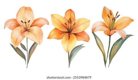 Elegant watercolor illustration featuring three orange lilies with green leaves, showcasing natural beauty and floral artistry.
