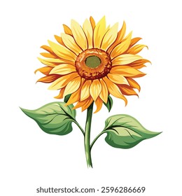 elegant watercolor illustration of a sunflower 