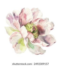 Elegant Watercolor Pastel Flower Vector Illustration