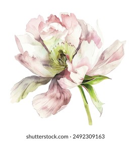 Elegant Watercolor Pastel Flower Vector Illustration