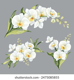 Elegant watercolor white orchid illustration