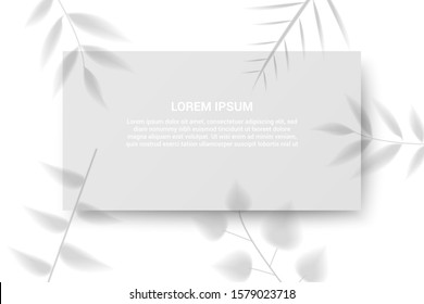 Elegant web banner template with place for text and realistic leaves shadows falling on card. Vector illustration