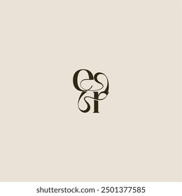 elegant wedding ER luxurious concept dynamic line monogram logo letter