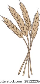 Elegant wheat bundle hand drawn vector illustration. Minimalist botanical element symbolizing harvest, abundance and natural beauty, perfect for Christian celebrations, first communion, church designs and religious stationery.