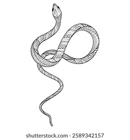 Elegant and whimsical silhouette of a snake intertwining in a graceful dance of doodles and patterns