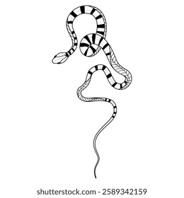 Elegant and whimsical silhouette of a snake intertwining in a graceful dance of doodles and patterns