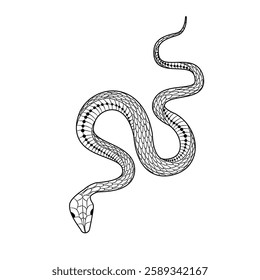 Elegant and whimsical silhouette of a snake intertwining in a graceful dance of doodles and patterns