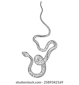 Elegant and whimsical silhouette of a snake intertwining in a graceful dance of doodles and patterns