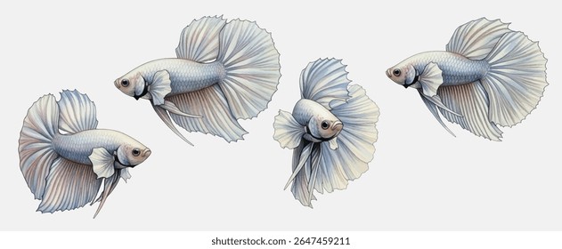 Elegante peixe betta branco com barbatanas fluindo e detalhe realista, perfeito para desenhos com temas aquáticos, ilustrações de animais de estimação ou arte sofisticada inspirada na natureza.
