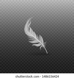 Elegant white bird feather, light and fluffy swan quill standing in vertical line, realistic plume floating on transparent background - hand drawn vector illustration