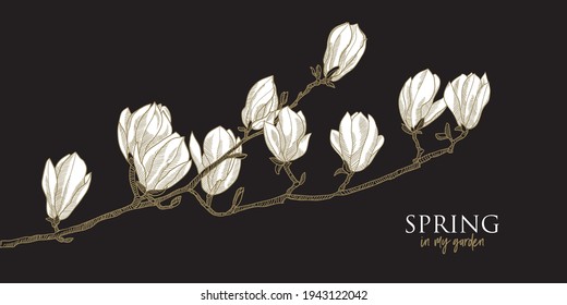 Elegant white magnolia flowers hand drawn element for greeting cards, header, invitation, poster, social media. Gold and black chick night style vector graphics.
