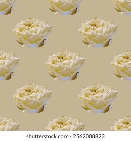 Elegant white roses seamless vector pattern