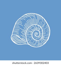 Elegant white seashell line art over a calm blue backdrop. Perfect for modern beach house interiors or nautical illustrations.