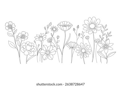 Elegant wildflowers illustration showing delicate line art in a botanical arrangement on white