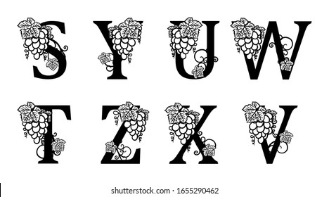 Elegant Wine Logo. Monogram Letters S, Y, U, W, T, Z, X, V. Calligraphic template logotype or insignia for Food and drinks. Design emblem for winery, vineyard, wine shop, wine list, restaurant, label.