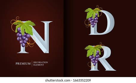 Logo Elegante. Cartas monográficas N, D, R. La letra mayúscula real está rodeada de uvas, hojas y curlos. Diseño o identidad de emblema caligráfico para vino, menú, restaurante, etiqueta, tarjeta de visita, café.