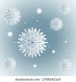 An elegant winter background featuring various intricate, crystal-like snowflakes falling gently against a soft blue gradient.