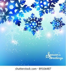 elegant winter snowflakes vector background