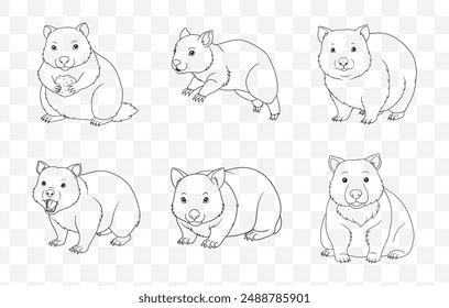 Elegant Wombat Art Vector Collection Featuring Detailed Illustrations of Wombats in Various Poses and Styles