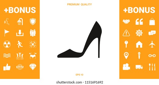 Elegant women shoe