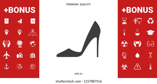 Elegant women shoe