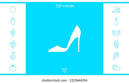 Elegant women shoe