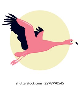 Elegantly flying flamingo.          
    Vector illustration.  