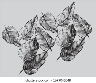 Element with big tropical leaves on grey background