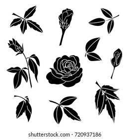 element of black rose and leaves, decorative flower vector illustration