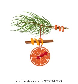An element of Christmas decor.A branch of spruce with a stick of cinnamon, orange, cranberry.Illustration for New Year's design.