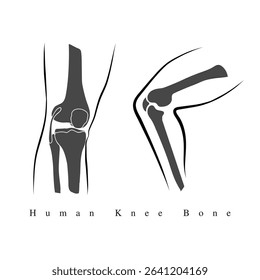 An element for creating orthopaedic logo, Vector drawing of knee injuries, A vector structure of human knee bones