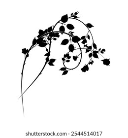 element of decoration roses intertwining of plants. Stock vector image