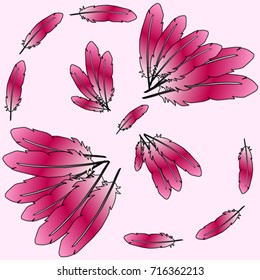 Element of design. Colored feathers on a pink background