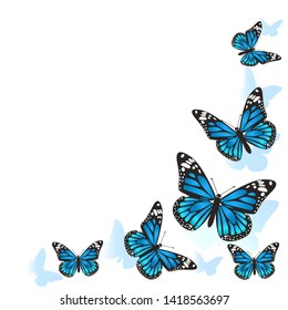 Element of design. Frame made of butterflies. Blue butterflies on a white background. vector image
