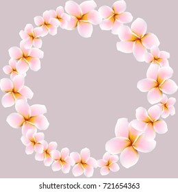 Element Design Frame Made Plumeria Flowers Stock Vector (Royalty Free ...