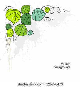 Element for design with leaves and curls. A vector.