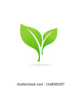 Element for eco and bio logo. Green Leaf Icon. Abstract sphere green leaf logo.