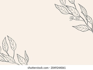 del eucalipto sale de ilustración vectorial03. marco botánico para invitaciones, tarjetas de felicitación, tarjetas de nombre y carteles.