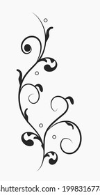 Elemento Del Diseño Del Vector Floral. Un rizo, una rama con un contorno aislado negro sobre un fondo blanco