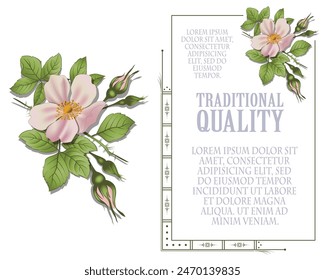 Element flower for labels, banner, sticker and other design. 