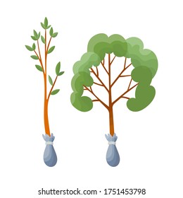 Elemento de juego de jardín. Herramienta agrícola para cuidado de jardín, colorida ilustración plana vectorial. Elemento de jardinería semilleros decorativos de árboles