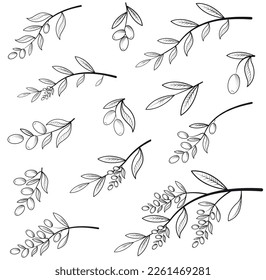 Elementgrafik, Olivenzweig, Olivenbaum, Skizze und Linienkunst, Aufkleber, Olivenlogo