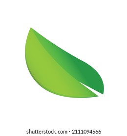 Element green leaf for ornament design themed natural and pure