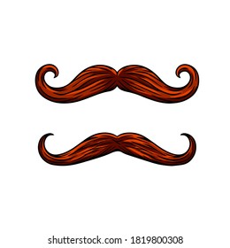 Element of head and face of hipster. Long moustache of old man. Cartoon illustration. Fashion and style. Mask for app. Brown hair guy. Fashionable men haircut.