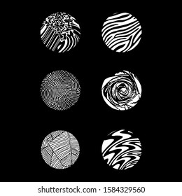 Element illustration waves, zebra skin, finger print, rose, banana leaf, and liquid