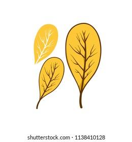 Element leaves autumn